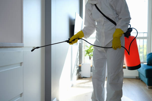 Best Residential Mold Removal  in Cedar Knolls, NJ
